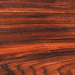 Cocobolo d'Amérique centrale